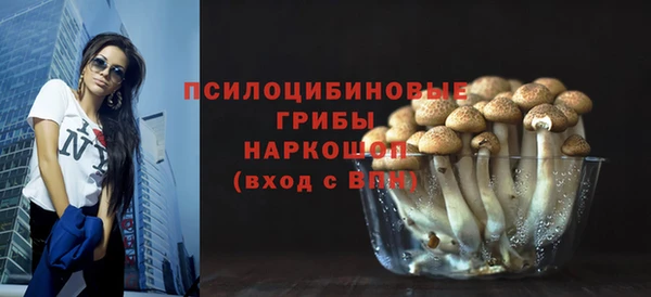 соль ск Кулебаки