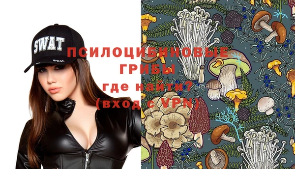 стафф Куйбышев