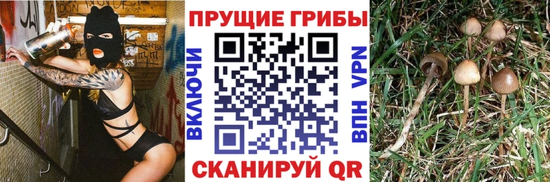 Псилоцибиновые грибы MAGIC MUSHROOMS Красный Сулин