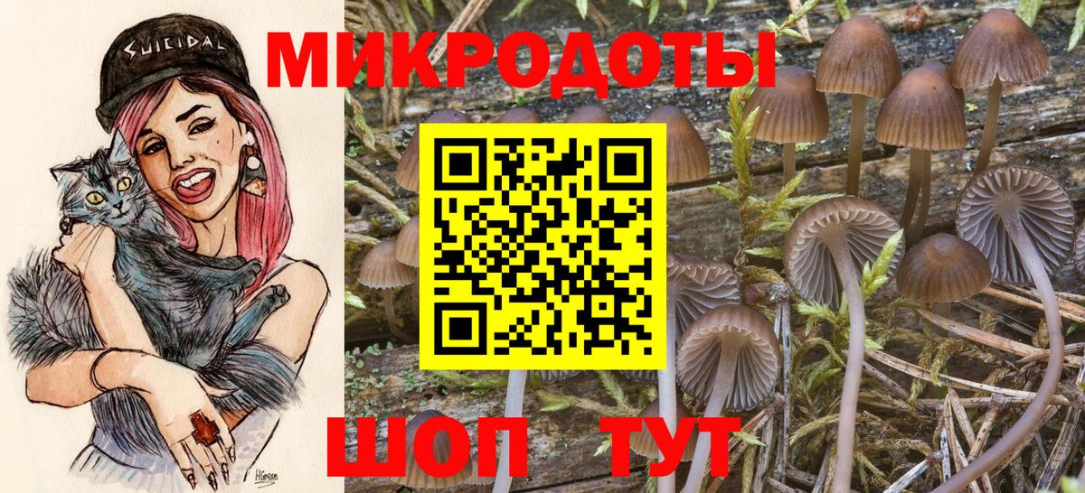 Псилоцибиновые грибы Magic Shrooms  что такое наркотик  Красный Сулин 