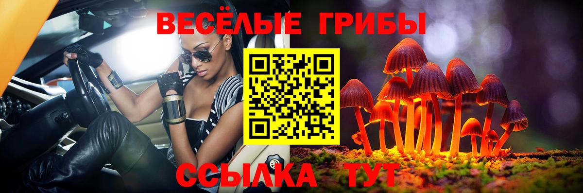Красный Сулин  Псилоцибиновые грибы Psilocybine cubensis  Вход с VPN  Галлюциногенные грибы мухоморы 